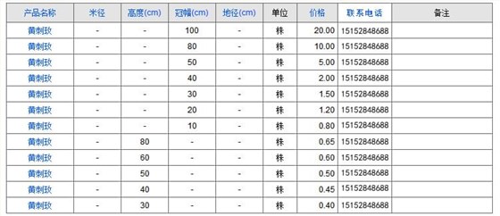 黄刺玫