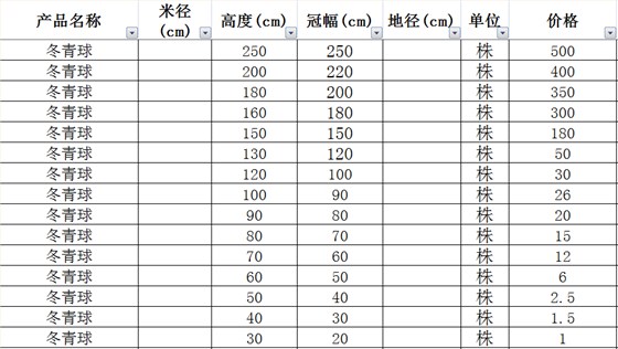 冬青球