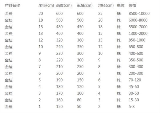 金桂价格表