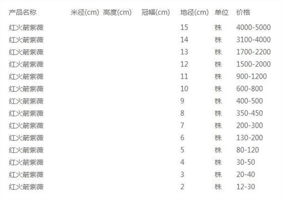 红火箭紫薇价格表