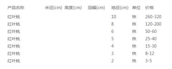 红叶桃价格表