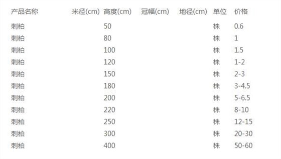 刺柏价格表