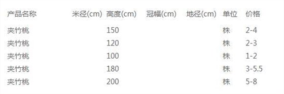 夹竹桃价格表