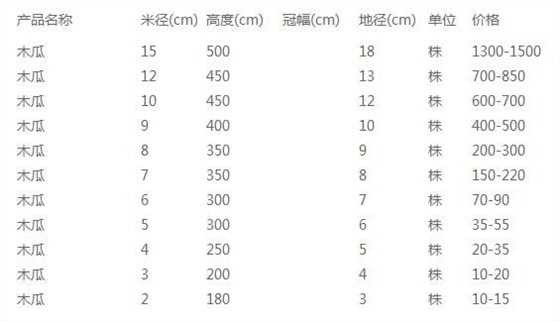 木瓜价格表