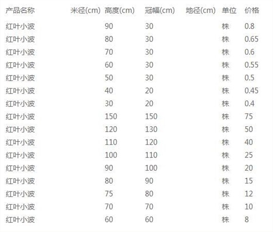 红叶小波