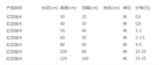 红花继木价格表
