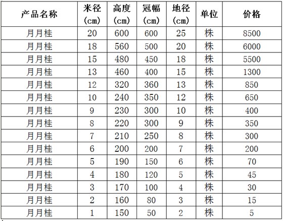 月月桂价格表