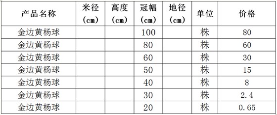 金边黄杨球价格表