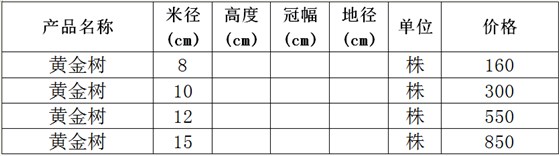 黄金树价格表