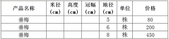 垂梅价格表