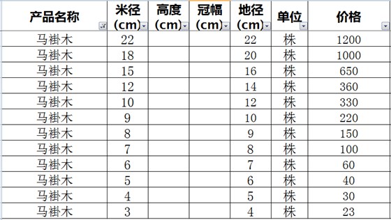 马褂木价格表