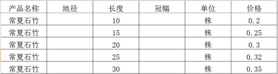 常夏石竹价格表