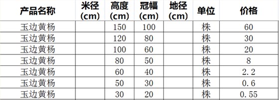 玉边黄杨价格表