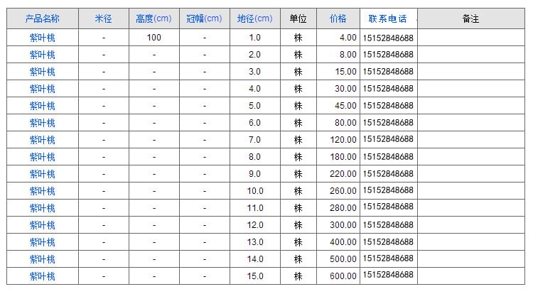 紫叶桃