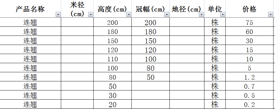 连翘