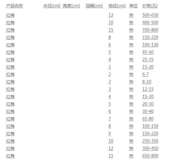 红梅价格表