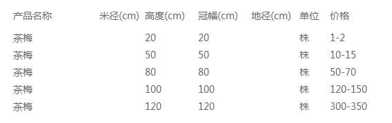 茶花价格表