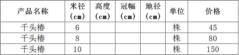 千头椿价格表